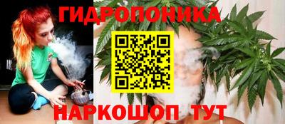 ГАЛЛЮЦИНОГЕННЫЕ ГРИБЫ Донской