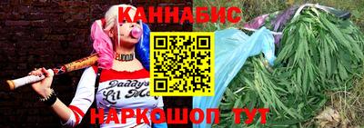 шишки Заводоуковск