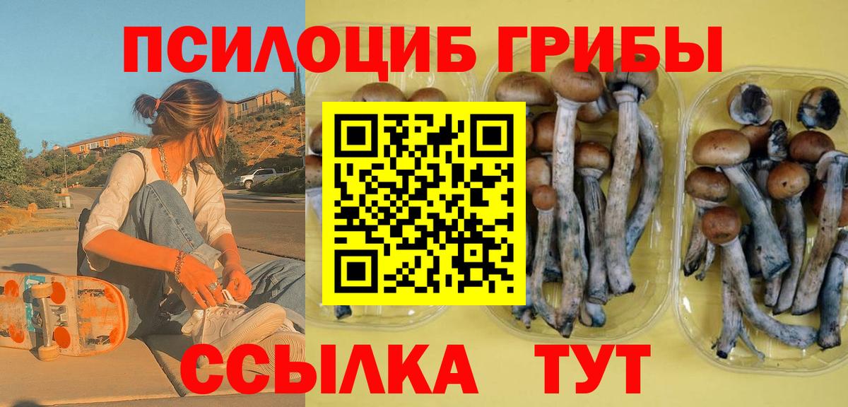 Псилоцибиновые грибы мицелий  Вход с VPN  Псилоцибиновые грибы Psilocybine cubensis  Курчатов 