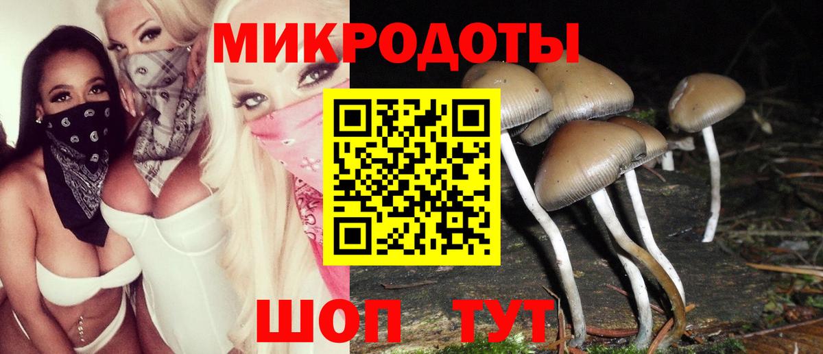 Псилоцибиновые грибы мицелий Курчатов